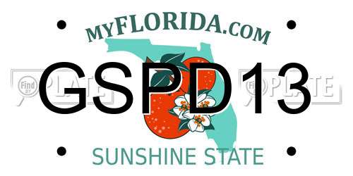 GSPD13 Florida License Plate