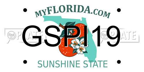 GSPI19 Florida License Plate