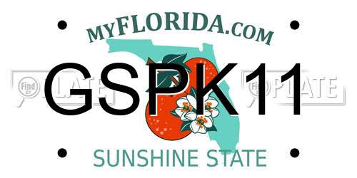 GSPK11 Florida License Plate