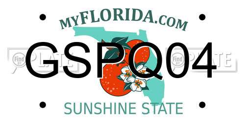 GSPQ04 Florida License Plate