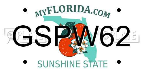 GSPW62 Florida License Plate