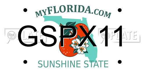 GSPX11 Florida License Plate