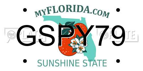 GSPY79 Florida License Plate