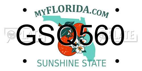 GSQ560 Florida License Plate