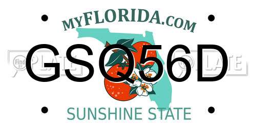 GSQ56D Florida License Plate
