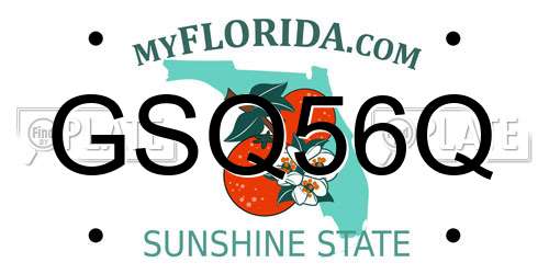 GSQ56Q Florida License Plate