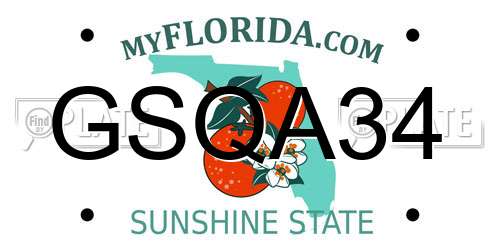 GSQA34 Florida License Plate