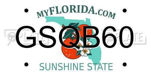 GSQB60 Florida License Plate