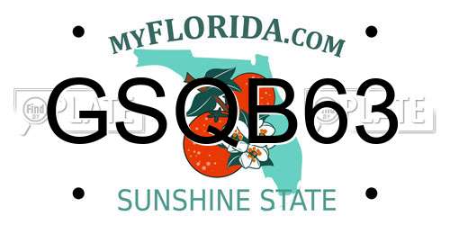 GSQB63 Florida License Plate