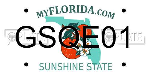 GSQE01 Florida License Plate