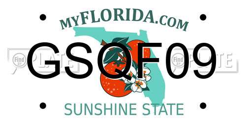 GSQF09 Florida License Plate