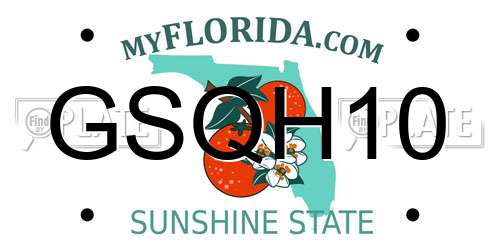GSQH10 Florida License Plate