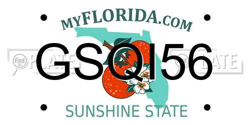 GSQI56 Florida License Plate