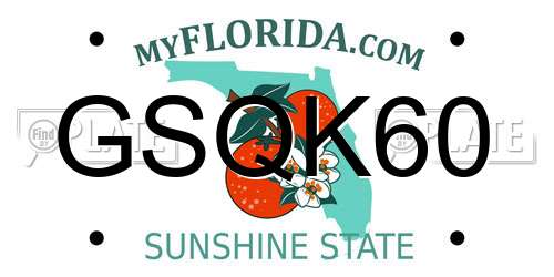 GSQK60 Florida License Plate