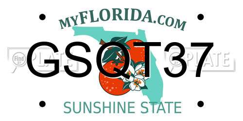GSQT37 Florida License Plate