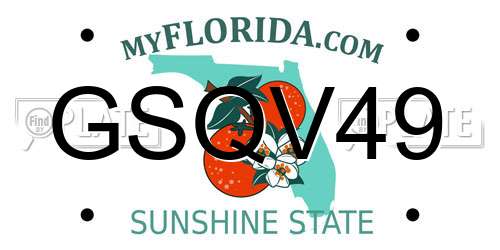 GSQV49 Florida License Plate