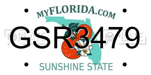 GSR3479 Florida License Plate