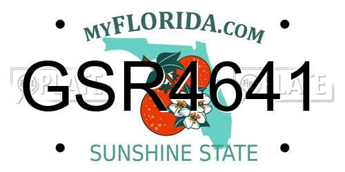 GSR4641 Florida License Plate
