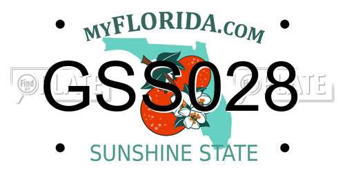 GSS028 Florida License Plate