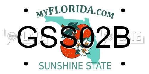 GSS02B Florida License Plate