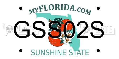 GSS02S Florida License Plate