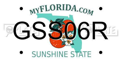GSS06R Florida License Plate