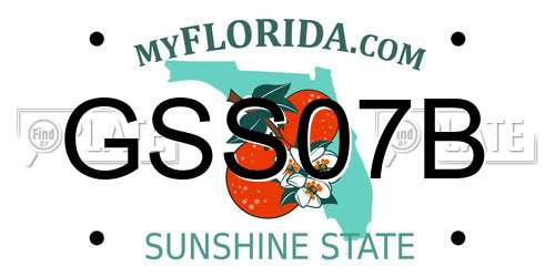 GSS07B Florida License Plate