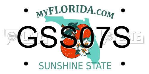 GSS07S Florida License Plate