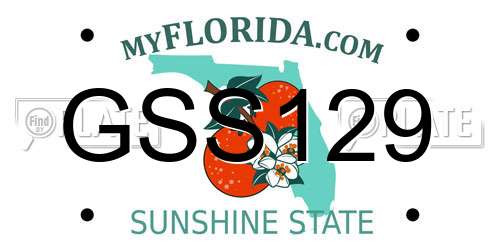 GSS129 Florida License Plate