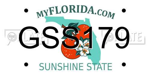 GSS179 Florida License Plate