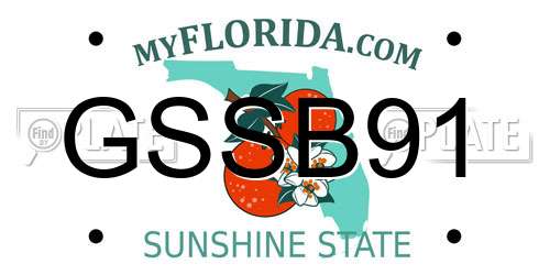 GSSB91 Florida License Plate