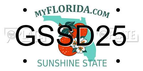 GSSD25 Florida License Plate