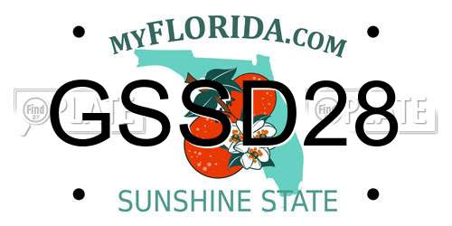 GSSD28 Florida License Plate