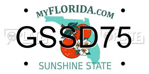 GSSD75 Florida License Plate