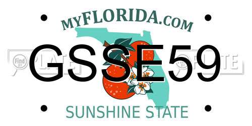 GSSE59 Florida License Plate