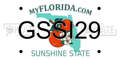 GSSI29 Florida License Plate