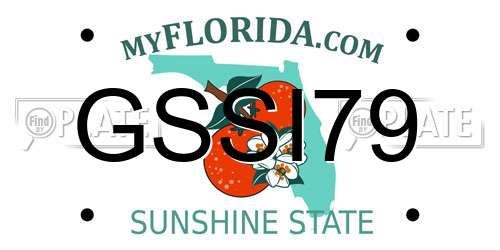 GSSI79 Florida License Plate