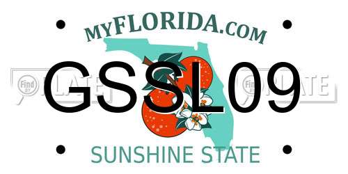 GSSL09 Florida License Plate