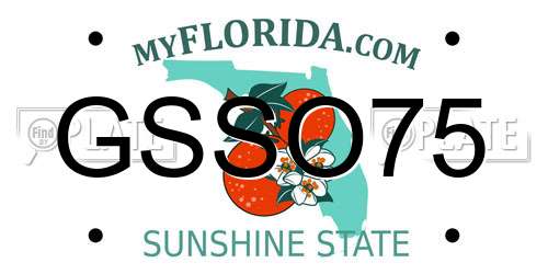 GSSO75 Florida License Plate