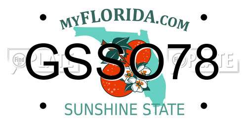 GSSO78 Florida License Plate