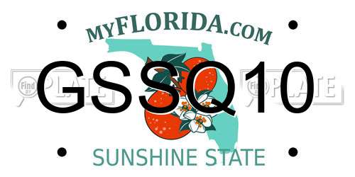 GSSQ10 Florida License Plate