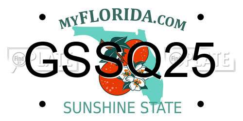 GSSQ25 Florida License Plate