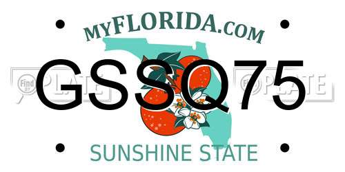 GSSQ75 Florida License Plate
