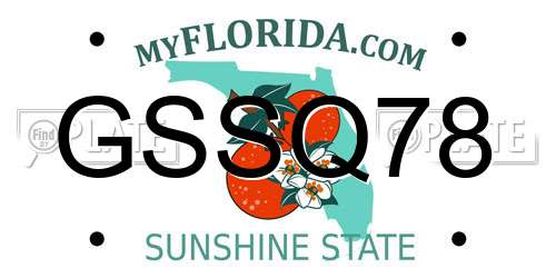 GSSQ78 Florida License Plate