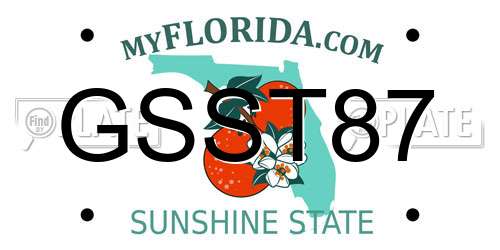 GSST87 Florida License Plate