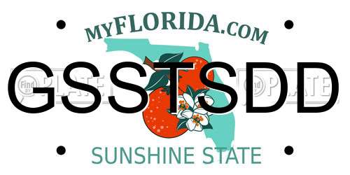 GSSTSDD Florida License Plate