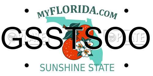 GSSTSOO Florida License Plate
