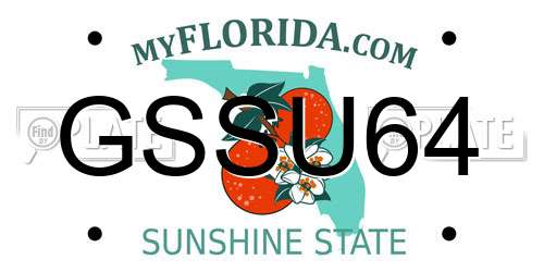 GSSU64 Florida License Plate