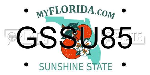 GSSU85 Florida License Plate