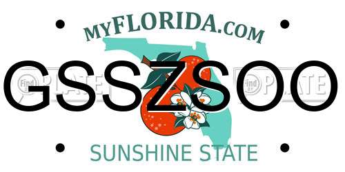GSSZSOO Florida License Plate